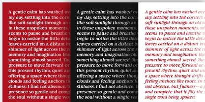 Fortecs Font Poster 8