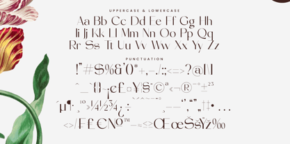 Stogne Gesture Font Poster 15