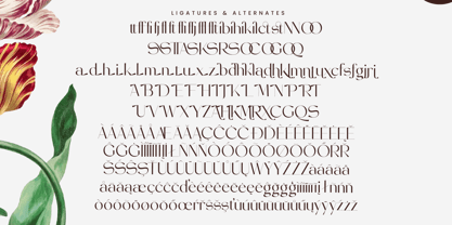 Stogne Gesture Font Poster 14