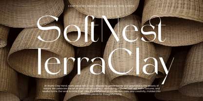 Stogne Gesture Font Poster 3