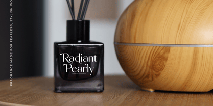 Stogne Gesture Font Poster 8