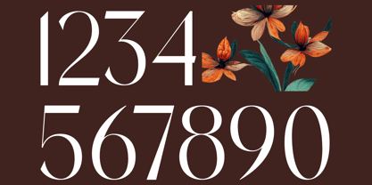 Stogne Gesture Font Poster 11