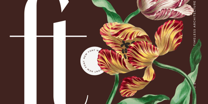 Stogne Gesture Font Poster 6