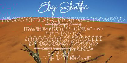 Elegi Skintific Font Poster 2