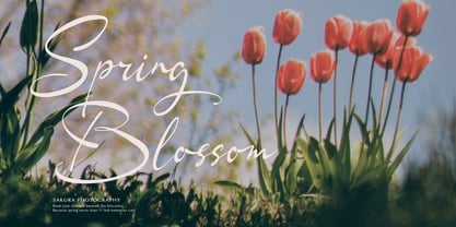 Chaerty Mellorind Font Poster 3