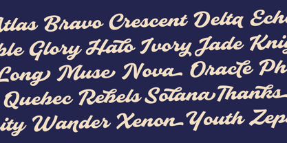 Slideback Font Poster 12