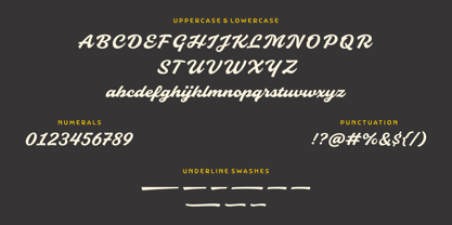 Slideback Font Poster 14