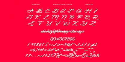 Hunter Anthila Font Poster 12