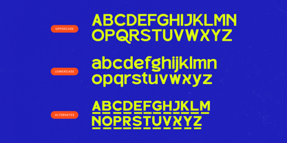 Bloker Font Poster 6