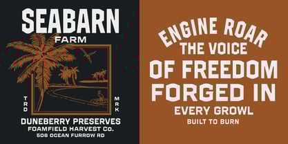 GW Grayback VF Font Poster 2