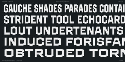 GW Grayback VF Font Poster 7