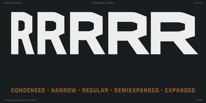 GW Grayback VF Font Poster 5