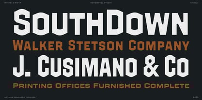 GW Grayback VF Font Poster 6