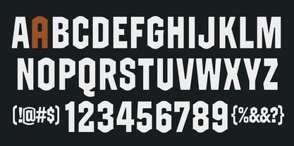 GW Grayback VF Font Poster 3