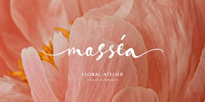Vangella Sealed Font Poster 2