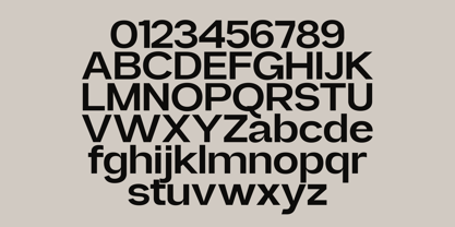 Also Sans Font Poster 7