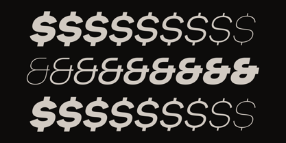 Also Sans Font Poster 8