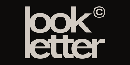 Also Sans Font Poster 4