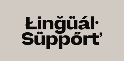 Also Sans Font Poster 9