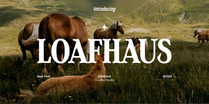 Loafhaus Font Poster 1