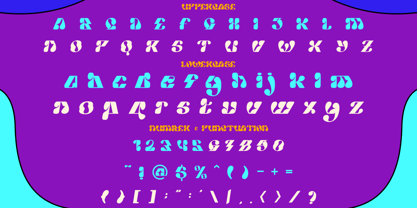 Funky Warp Font Poster 5