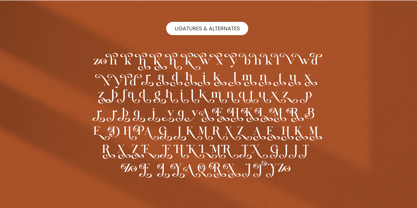 Quika Calletto Font Poster 13