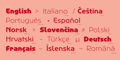 Agera Gothic Variable Font Poster 4