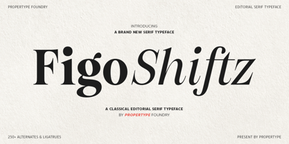 Figo Shiftz Editorial Font Poster 1