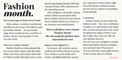 Figo Shiftz Editorial Font Poster 11