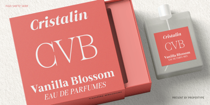 Figo Shiftz Editorial Font Poster 8