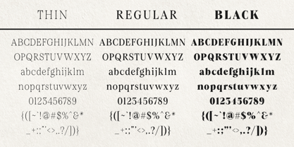 Figo Shiftz Editorial Font Poster 7