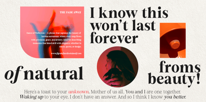 Figo Shiftz Editorial Font Poster 2