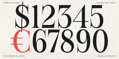 Figo Shiftz Editorial Font Poster 12