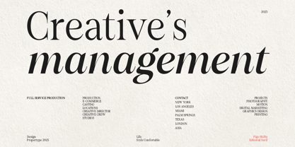 Figo Shiftz Editorial Font Poster 5