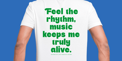 Banids Font Poster 9