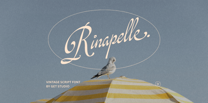 Rinapelle Script Font Poster 1