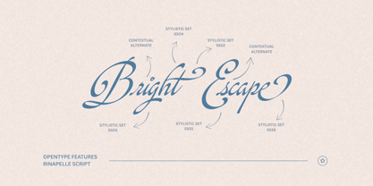 Rinapelle Script Font Poster 4