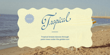Rinapelle Script Font Poster 7