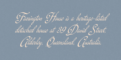 Rinapelle Script Font Poster 5