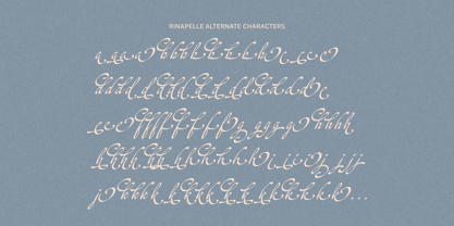 Rinapelle Script Font Poster 14