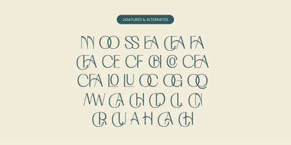 Costare Slorun Font Poster 12