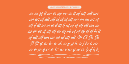 Backline Marker Font Poster 14