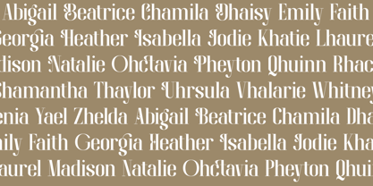 Brayena Font Poster 8