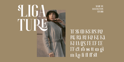 Brayena Font Poster 13