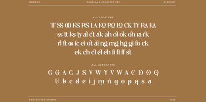 Rabelya Font Poster 15