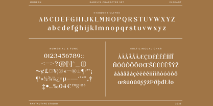 Rabelya Font Poster 14