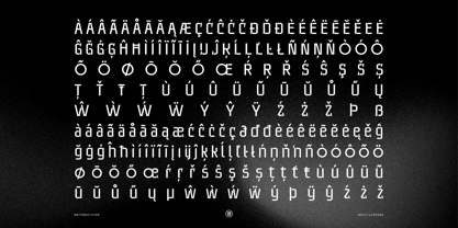 UT Sracotien Font Poster 11