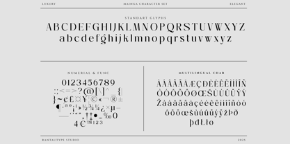 Mainga Font Poster 14
