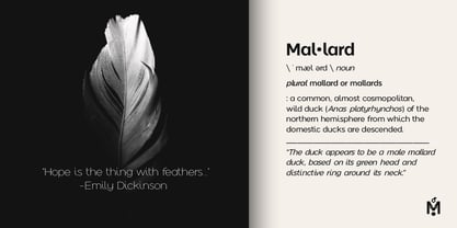 Mallard Font Poster 11