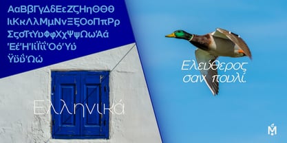 Mallard Font Poster 5